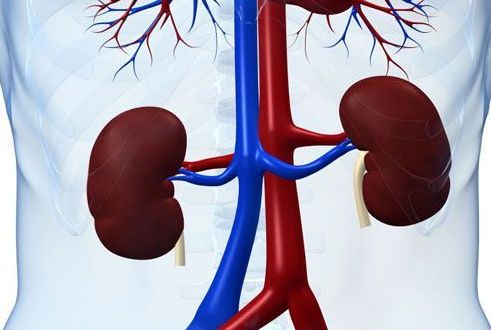 Вся информация о пиелонефрите на сайте uromed.com.ua